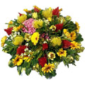 Flowers to Hyderabad : Christmas Flowers to Hyderabad