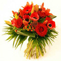 Flowers to Hyderabad : Send Flowers to Hyderabad