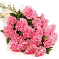 Flowers to Hyderabad