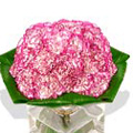 Flowers to Hyderabad