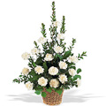 Flowers to Hyderabad