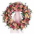 Flowers to Hyderabad : Send flowers to Hyderabad