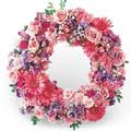 Flowers to Hyderabad : Send flowers to Hyderabad