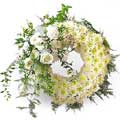 Flowers to Hyderabad : Send flowers to Hyderabad