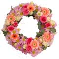Flowers to Hyderabad : Send flowers to Hyderabad