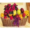Send Gifts to Hyderabad
