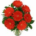 Flowers to Hyderabad
