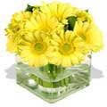 Flowers to Hyderabad