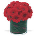 Flowers to Hyderabad