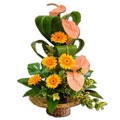 Flowers to Hyderabad