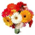 Flowers to Hyderabad