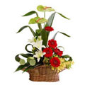 Flowers to Hyderabad