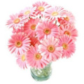Flowers to Hyderabad