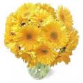 Flowers to Hyderabad