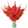 Send Flowers to Hyderabad