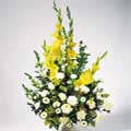 Flowers to Hyderabad, Anniversary Flowers to Hyderabad