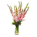 Valentine Flowers to Hyderabad