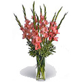 Flowers to Hyderabad, Send Flowers to Hyderabad