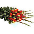 New Year Flowers to Hyderabad