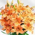 Send Flowers to Hyderabad