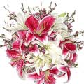 Send Flowers to Hyderabad