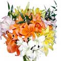 Send Flowers to Hyderabad