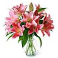 Send Flowers to Hyderabad