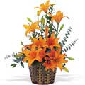 Send Flowers to Hyderabad
