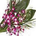 Flowers to Hyderabad