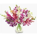 Send Flowers to Hyderabad