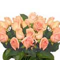 Send Flowers to Hyderabad : Flowers to Hyderabad
