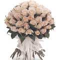 Send Flowers to Hyderabad