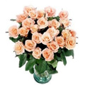 Send Flowers to Hyderabad