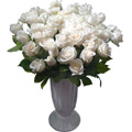 Flowers to Hyderabad : Send Flowers to Hyderabad