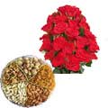 Gifts to Hyderabad