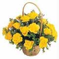 Flowers to Hyderabad