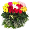Flowers to Hyderabd