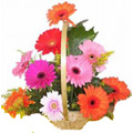 Flowers to Hyderabad
