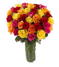 Flowers to Hyderabd