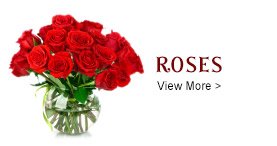 send roses to West Godavari