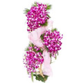 Send Flowers to Hyderabad