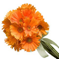 Flowers to Hyderabad