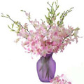 Send Flowers to Hyderabad