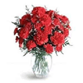 Flowers to Hyderabad