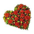 Flowers to Hyderabad : Send Flowers to Hyderabad