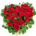 Flowers to Hyderabad : Send Flowers to Hyderabad