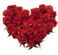 Flowers to Hyderabad : Send Flowers to Hyderabad