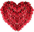 Flowers to Hyderabad : Send Flowers to Hyderabad