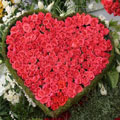 Flowers to Hyderabad : Send Flowers to Hyderabad