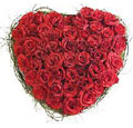 Flowers to Hyderabad : Send Flowers to Hyderabad